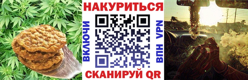 Купить  Малоярославец  Canna-Cookies конопля 