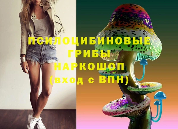 ПСИЛОЦИБИНОВЫЕ ГРИБЫ Белокуриха