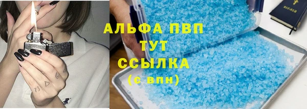 ПСИЛОЦИБИНОВЫЕ ГРИБЫ Белокуриха