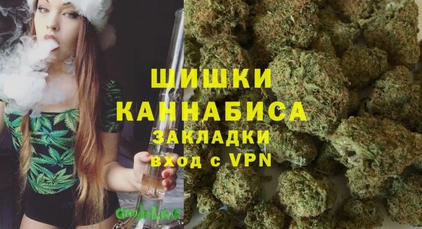 ПСИЛОЦИБИНОВЫЕ ГРИБЫ Белокуриха