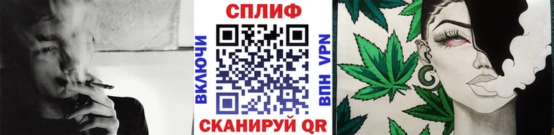 Конопля сатива  Купить закладки  Малоярославец 